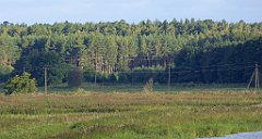 0143_TZ60_P1130988_cr