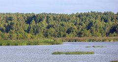 0148_TZ60_P1130998_cr