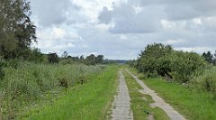 0275_TZ60_P1140072_cr