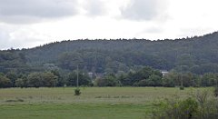 0290_TZ60_P1140080_cr