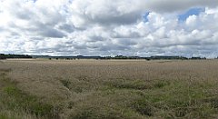 0304_TZ60_P1140090_cr