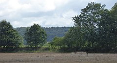 0357_TZ60_P1140114_cr