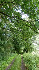 0360_TZ60_P1140117_cr