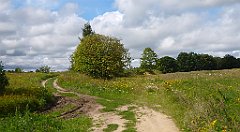 0425a_3D_P1100896_cr