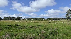 0528_TZ60_P1140152_cr