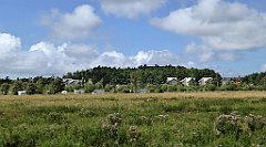 0530_TZ60_P1140154_cr