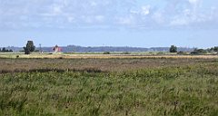 0533_TZ60_P1140157_cr