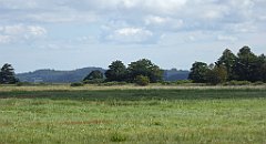 0557_TZ60_P1140184_cr