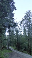 0030_TZ60_P1140225_cr