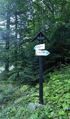 0031_TZ60_P1140226_cr