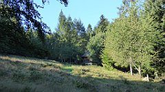 0042_TZ60_P1140230_cr