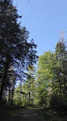 0046_TZ60_P1140233_cr