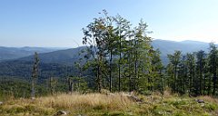 0069_TZ60_P1140242_cr