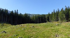 0085_TZ60_P1140260_cr