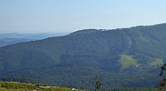 0098_TZ60_P1140271_cr