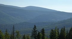 0101_TZ60_P1140274_cr