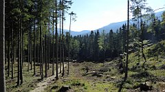 0110_TZ60_P1140279_cr