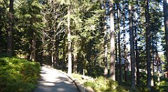 0124a_3D_P1110332_cr