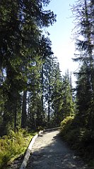 0131_TZ60_P1140288_cr