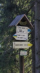 0132_TZ60_P1140289_cr