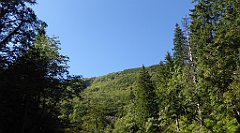 0143a_TZ60_P1140295_cr