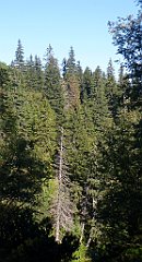 0155a_3D_P1110347_cr