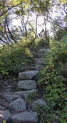 0187a_TZ60_P1140319_cr