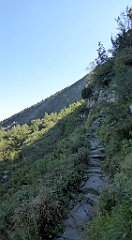 0189_TZ60_P1140321_cr