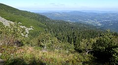 0225_TZ60_P1140363_cr