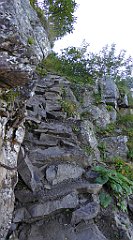 0242_TZ60_P1140374_cr