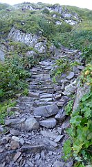 0255_TZ60_P1140386_cr