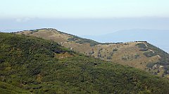 0281_TZ60_P1140406_cr