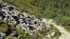 0299_TZ60_P1140416_cr