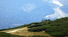 0311_TZ60_P1140428_cr