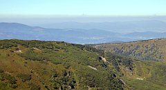 0316_TZ60_P1140432_cr