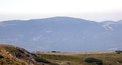 0320_TZ60_P1140436_cr