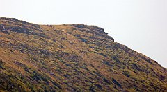 0583_TZ60_P1140565_cr