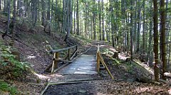 0608_TZ60_P1140573_cr