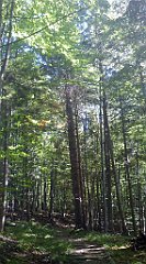 0623b_3D_P1110567_cr