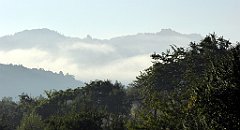 034_TZ60_P1140603_cr