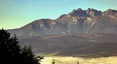 081_TZ60_P1140631_cr