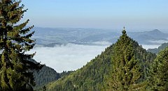 106_TZ60_P1140655_cr