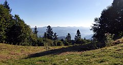 109_TZ60_P1140658_cr