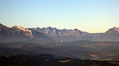 149_TZ60_P1140707_cr