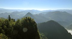 200_TZ60_P1140729_cr