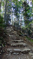 220_TZ60_P1140740_cr