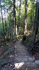 227_TZ60_P1140742_cr