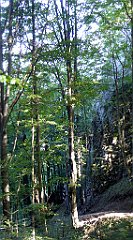 229_TZ60_P1140744_cr