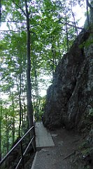 230_TZ60_P1140745_cr