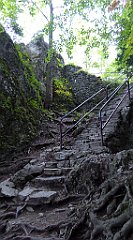 232_TZ60_P1140747_cr